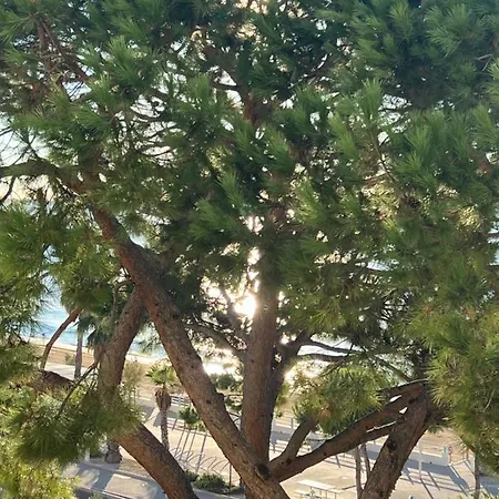 Paradisiaques, Boccacabana, Apartmán *